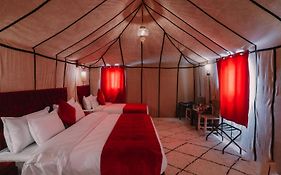 Starlit Camp